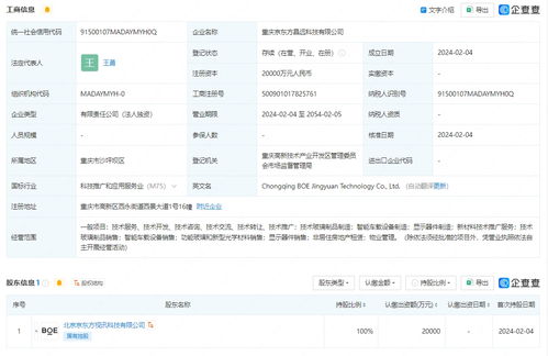 京东方重庆布局 两亿元星夜南下 新公司背后的产业动与谋
